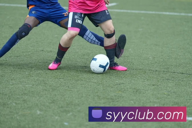 双赢彩票官网APP 封面图