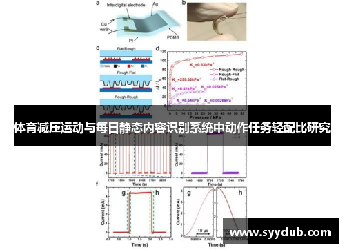 体育减压运动与每日静态内容识别系统中动作任务轻配比研究