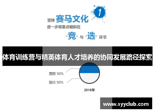 体育训练营与精英体育人才培养的协同发展路径探索